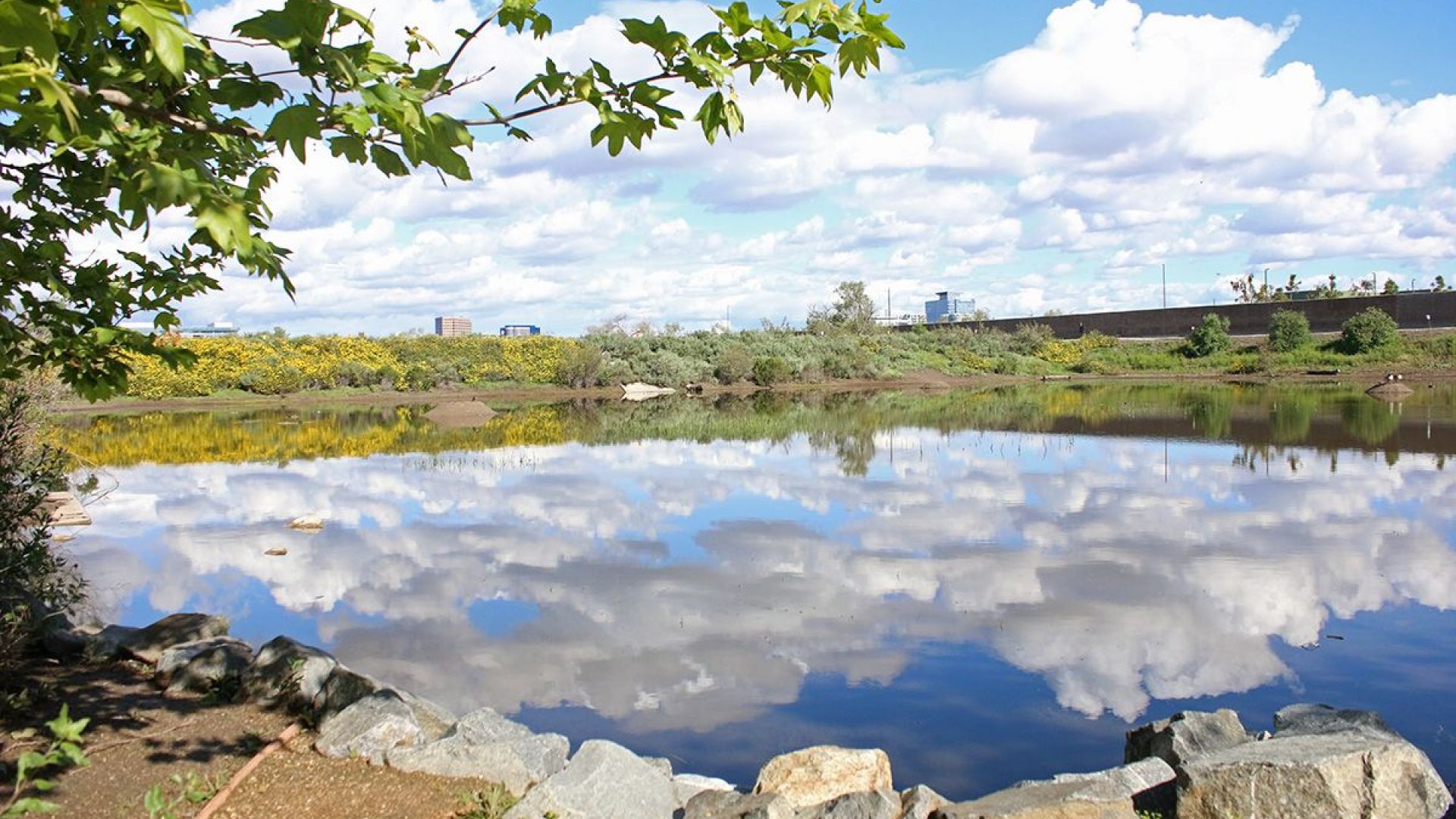 Visit the San Joaquin Wildlife Sanctuary