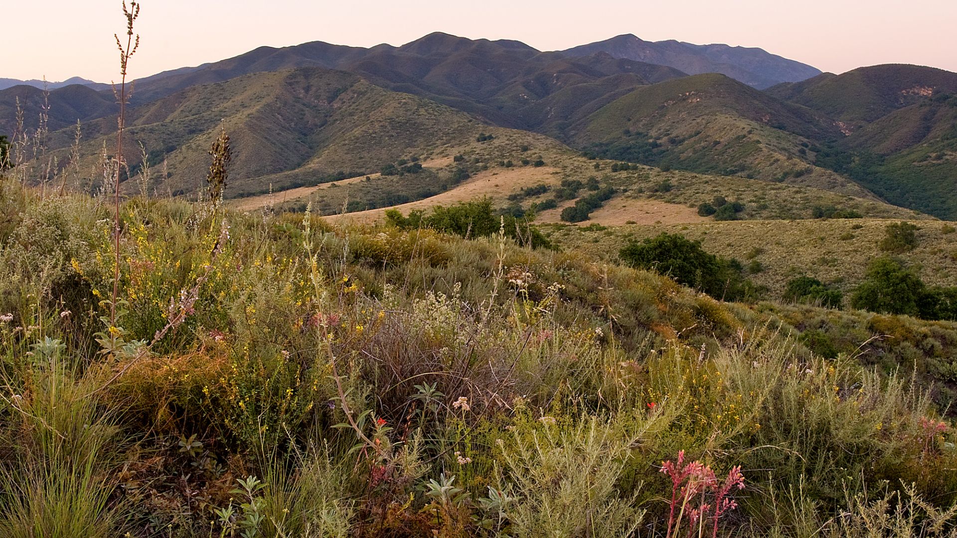 Conserve Habitat & Birds