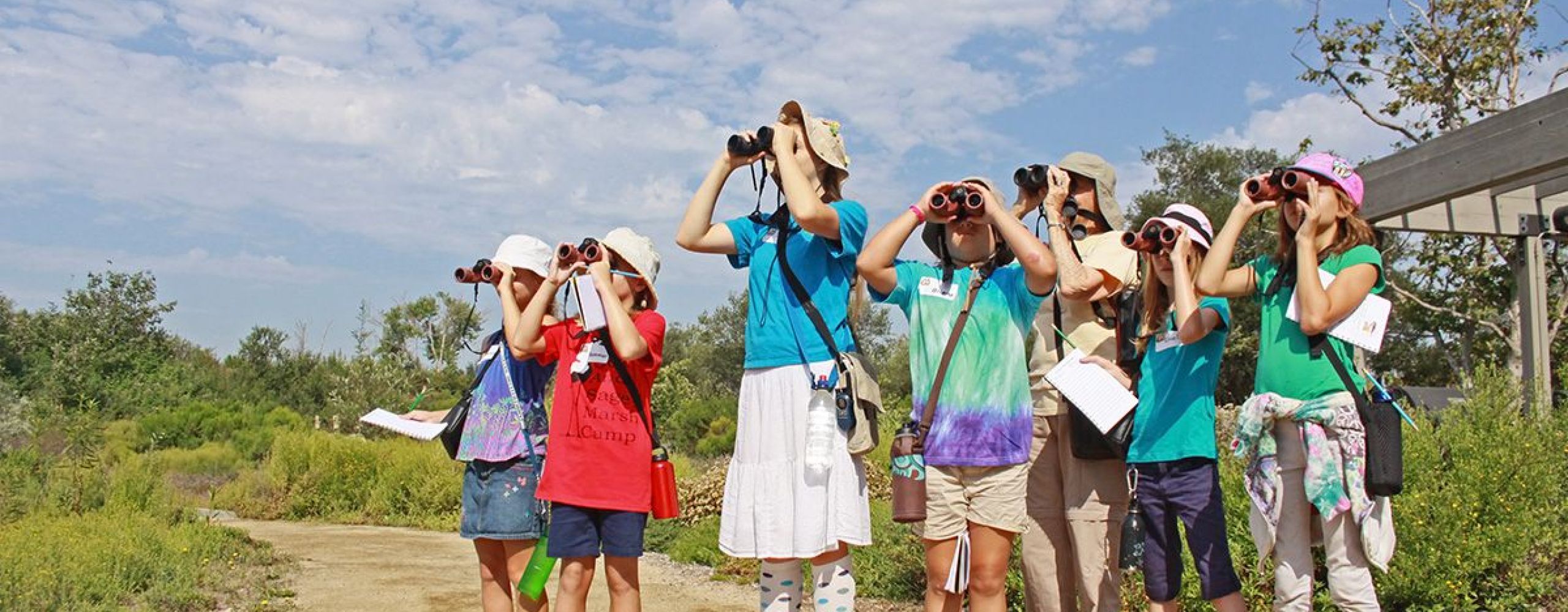 Outdoor birding