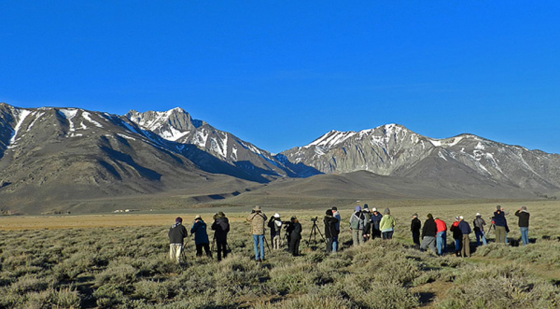 Group birding at the Lek area