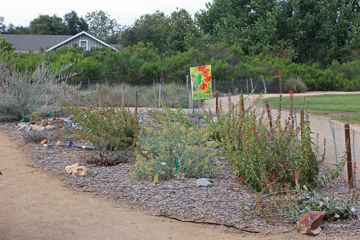 view pollinators garden