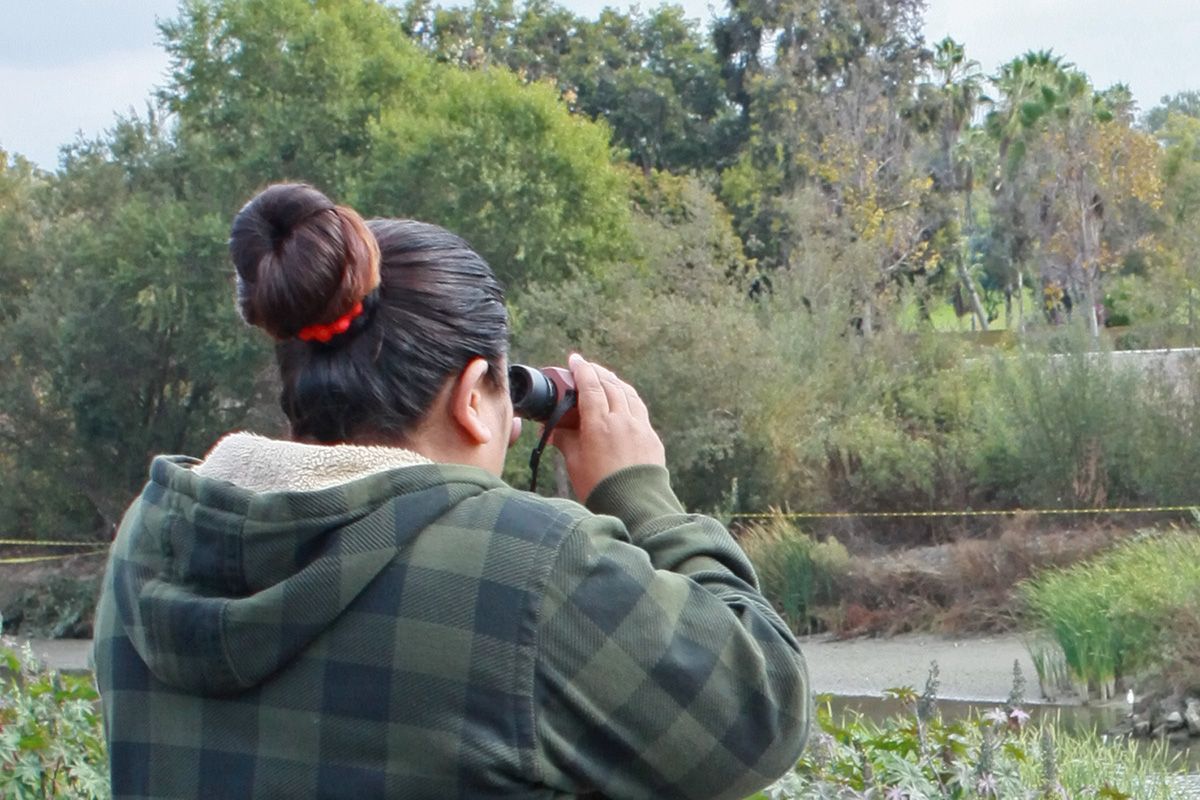 Monroe School at creek wat