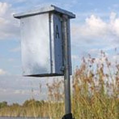 Bird Box