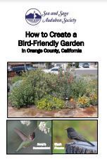  how to create a bird-friendly garden