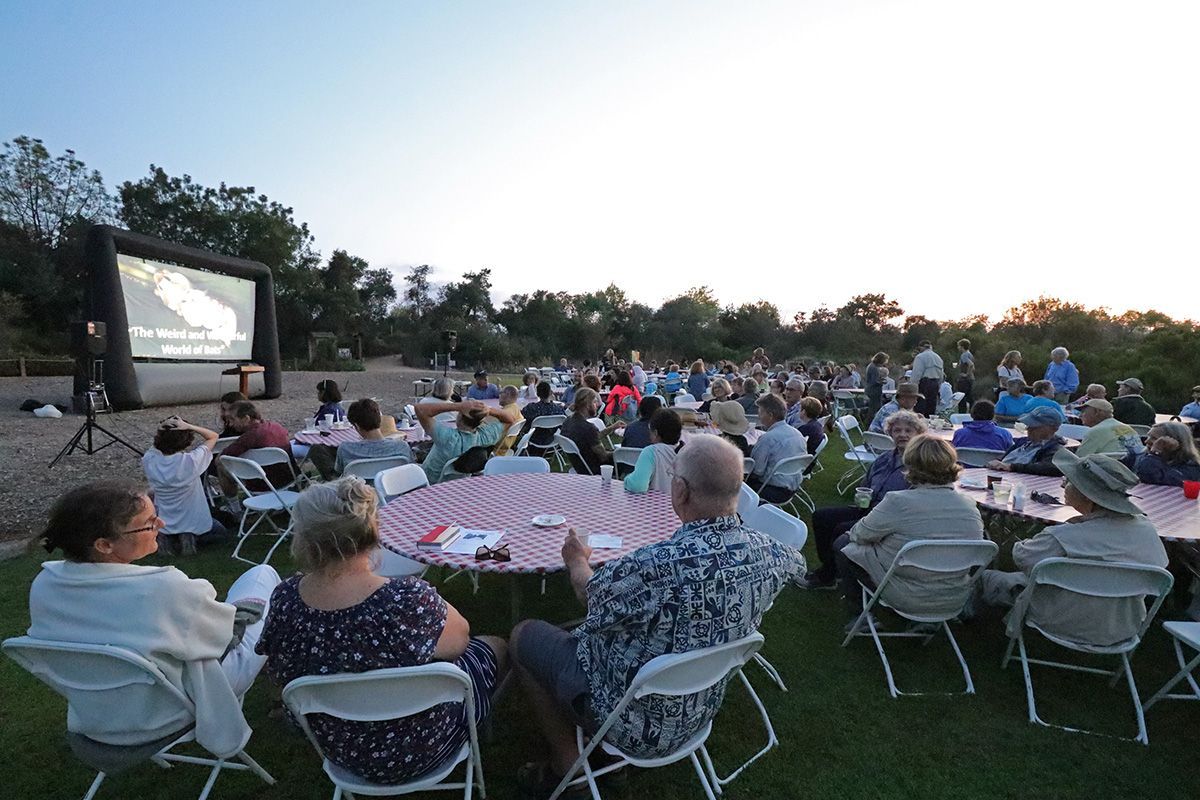 3 Barbeque 2018 IMG_8969 DAN TRINIDADx