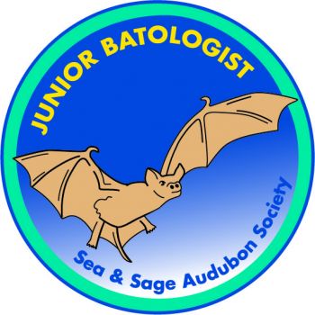 Youth badge