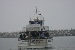 BirdingtheJetty