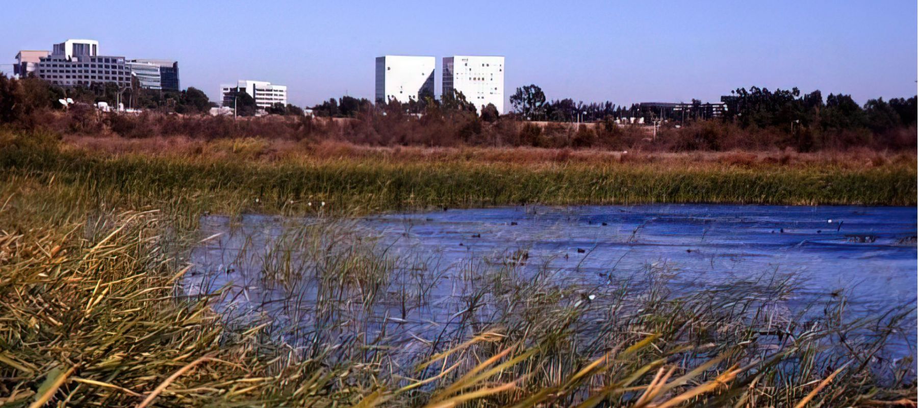 south ponds
