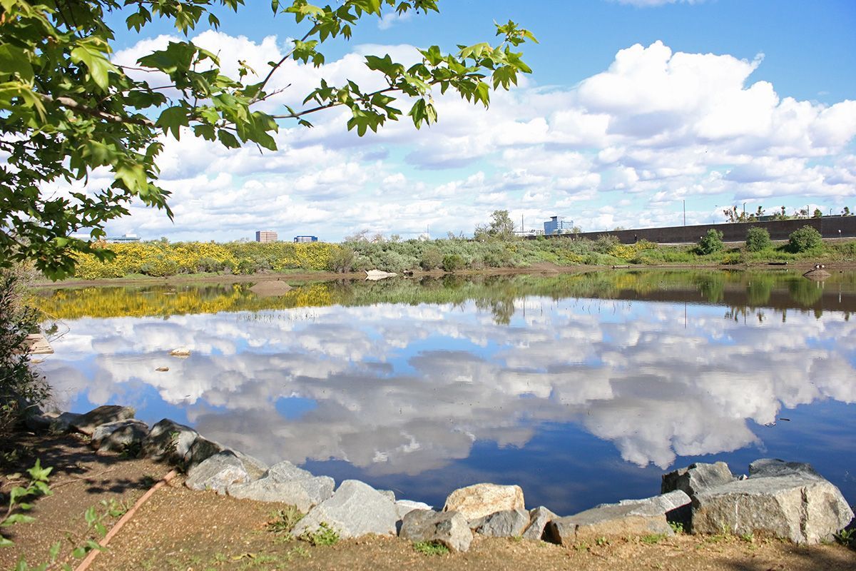 Visit the San Joaquin Wildlife Sanctuary