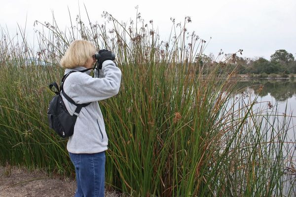 11 Birder Debbie Hays IMG_5802x