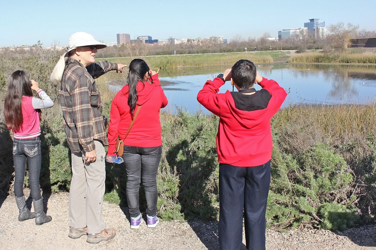 Carolyn Noble teaches