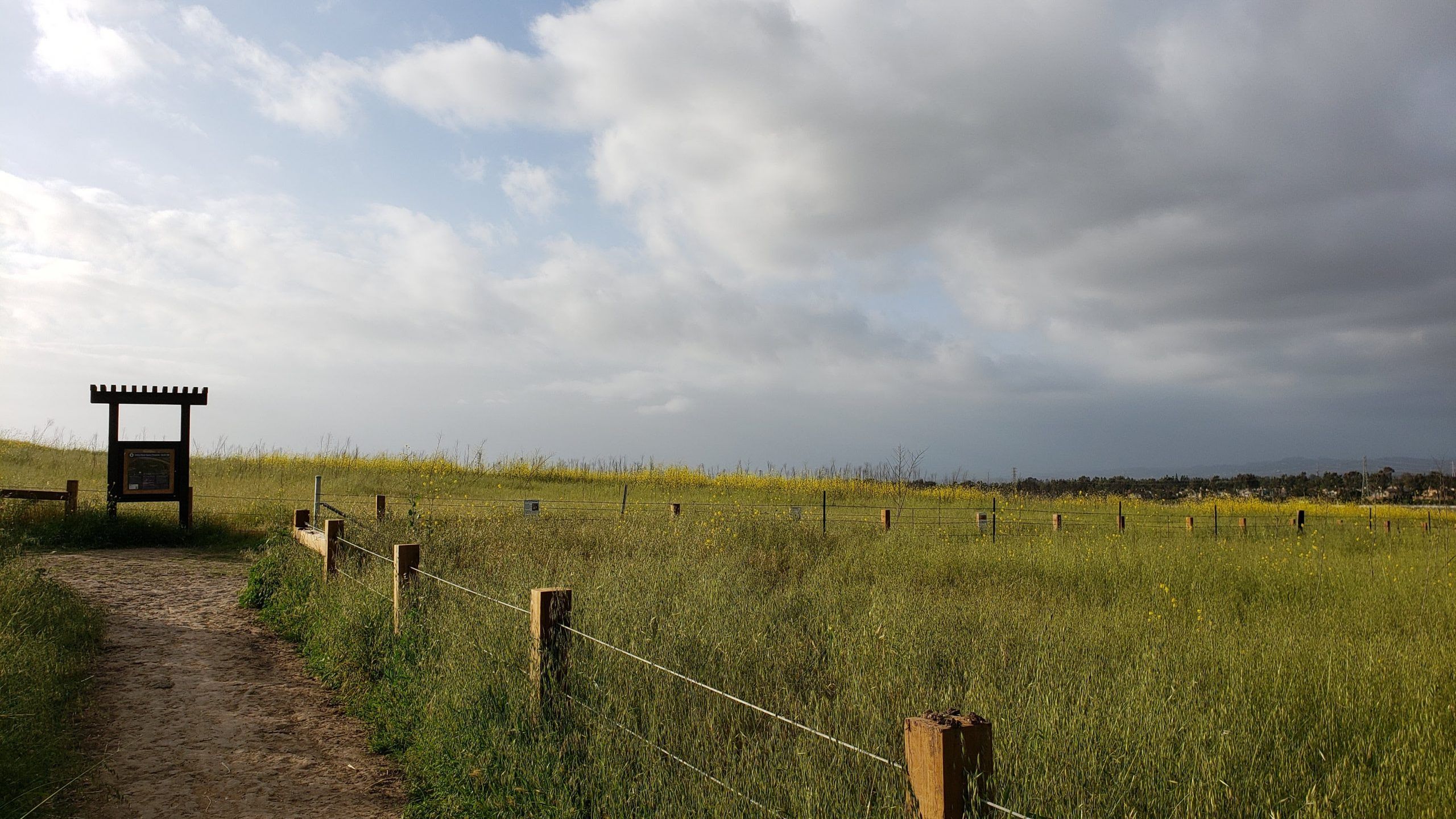 quail hill