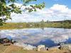 Visit the San Joaquin Wildlife Sanctuary