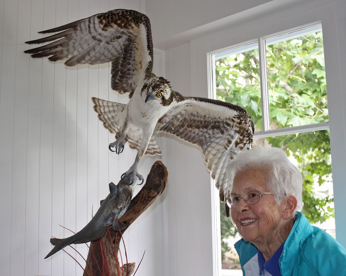  Betty Purdy funded Osprey