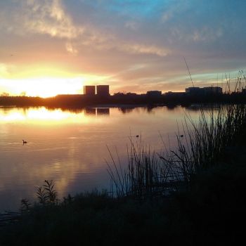Experience The Marsh At Night
