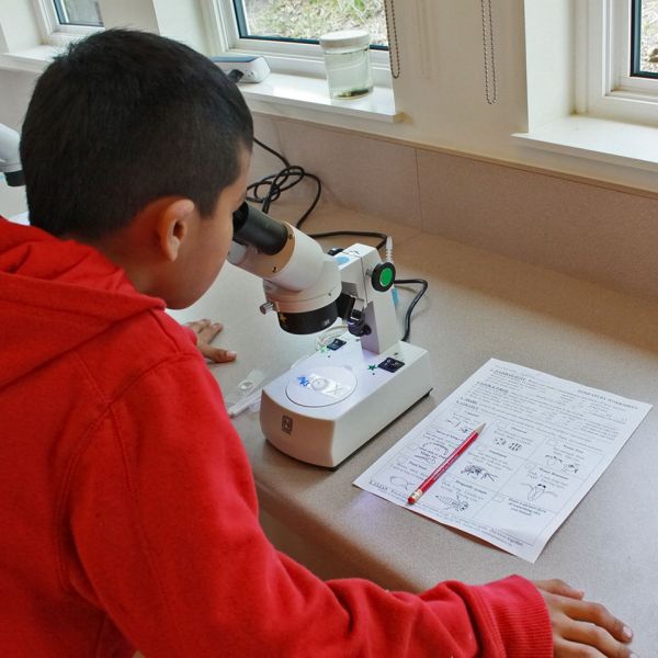 MICROSCOPE
