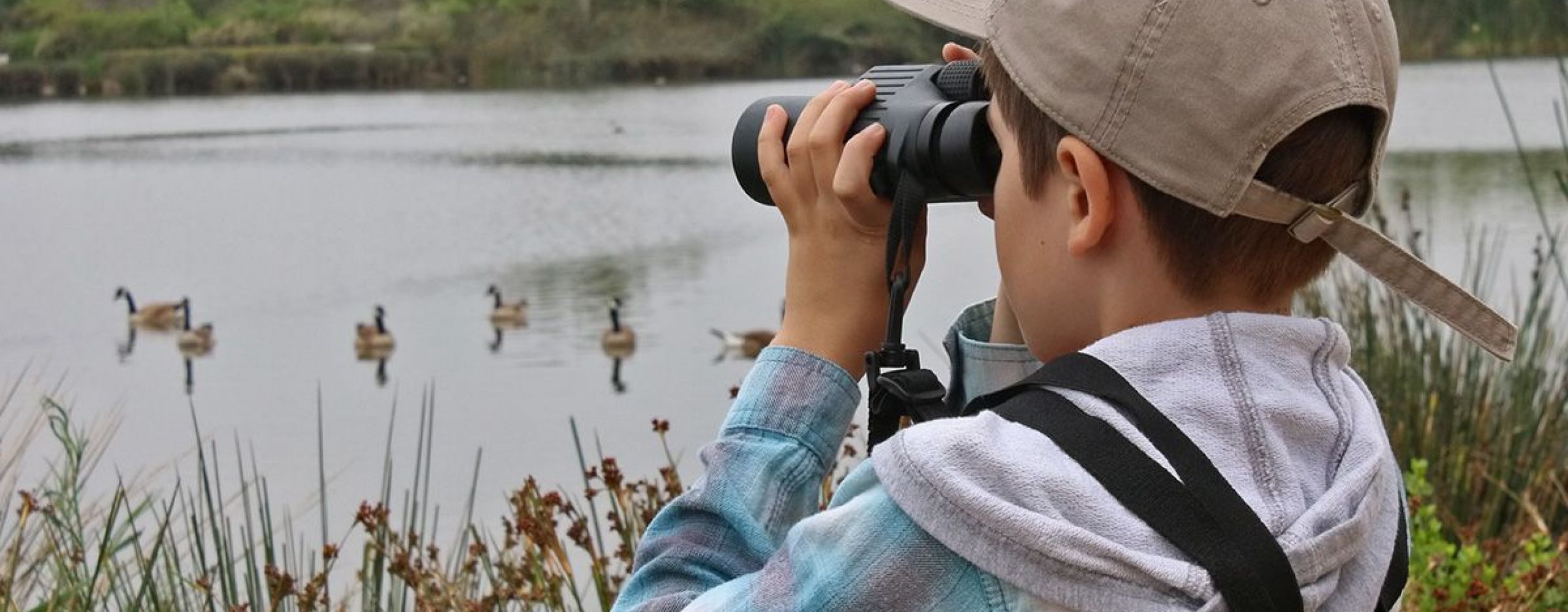 Outdoor birding