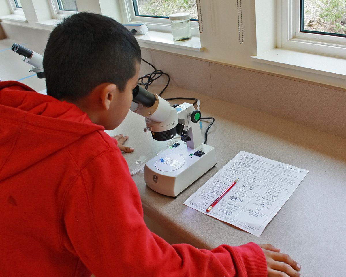 MICROSCOPE