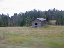 Swedish cabin near the woods