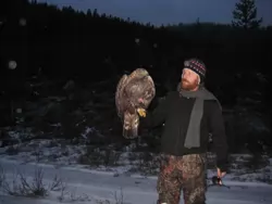 Lucky #8 (eagle)