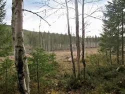outsideblind View outside of blind