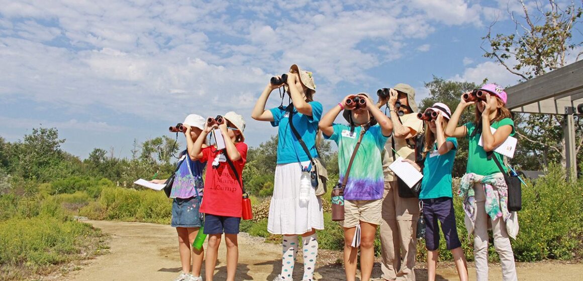 Nature Day Camps