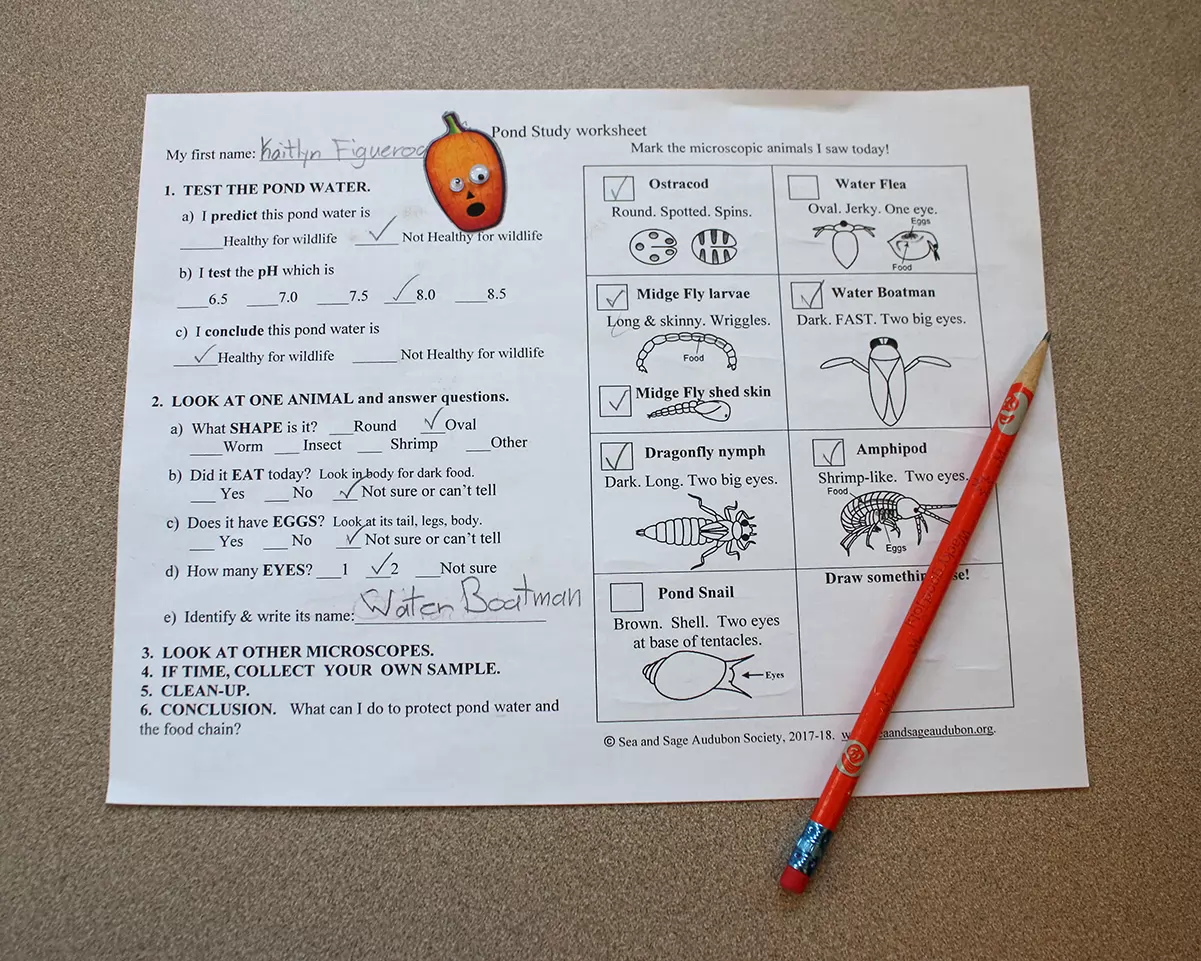 6 student worksheet IMG_2000 r
