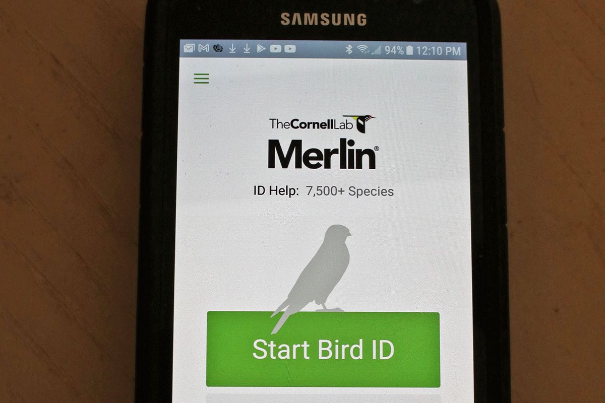 7 Merlin App IMG_5741xx