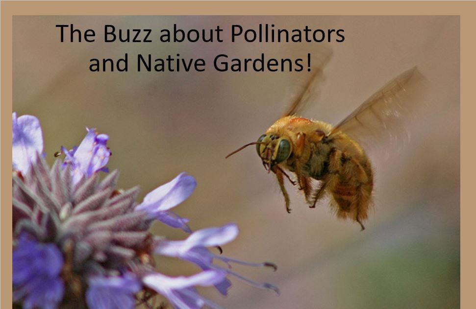 label The Buzz About Pollinators