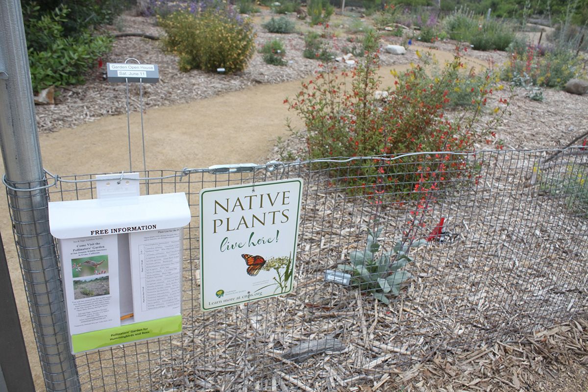 6 native plant sign and literature holder IMG_8900 r