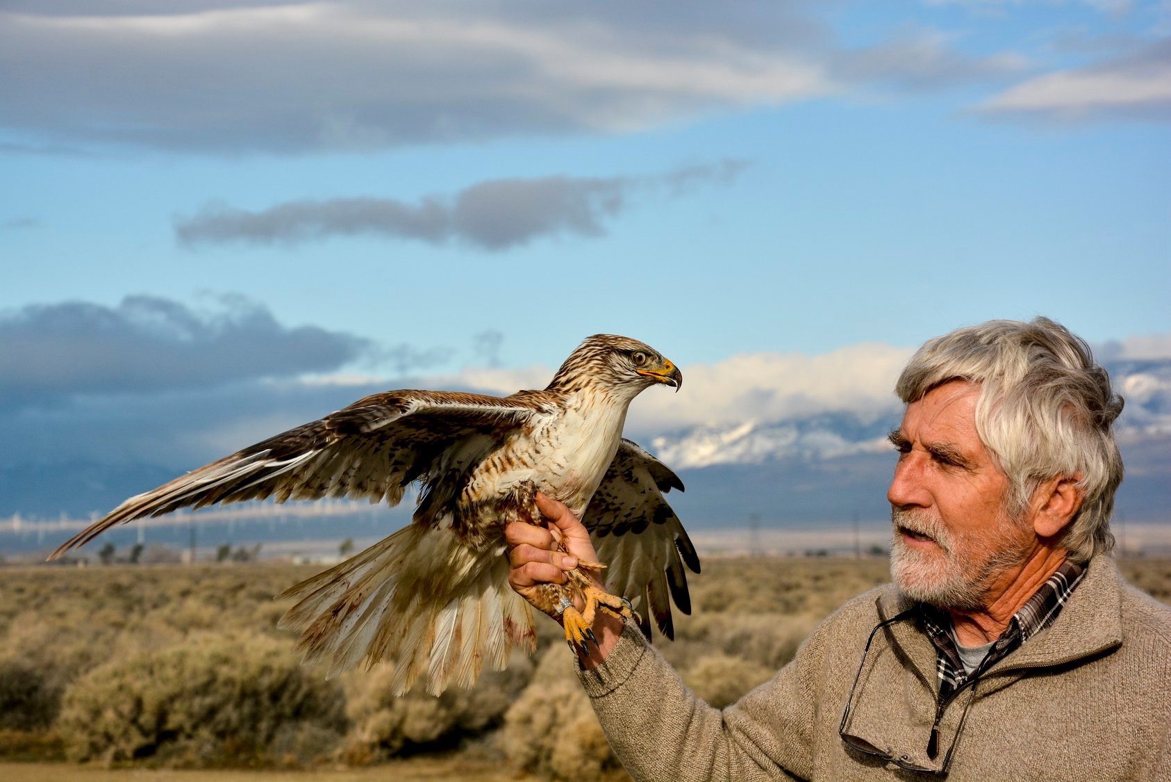 Pete Holding a Ferruginous Hawk, 2016