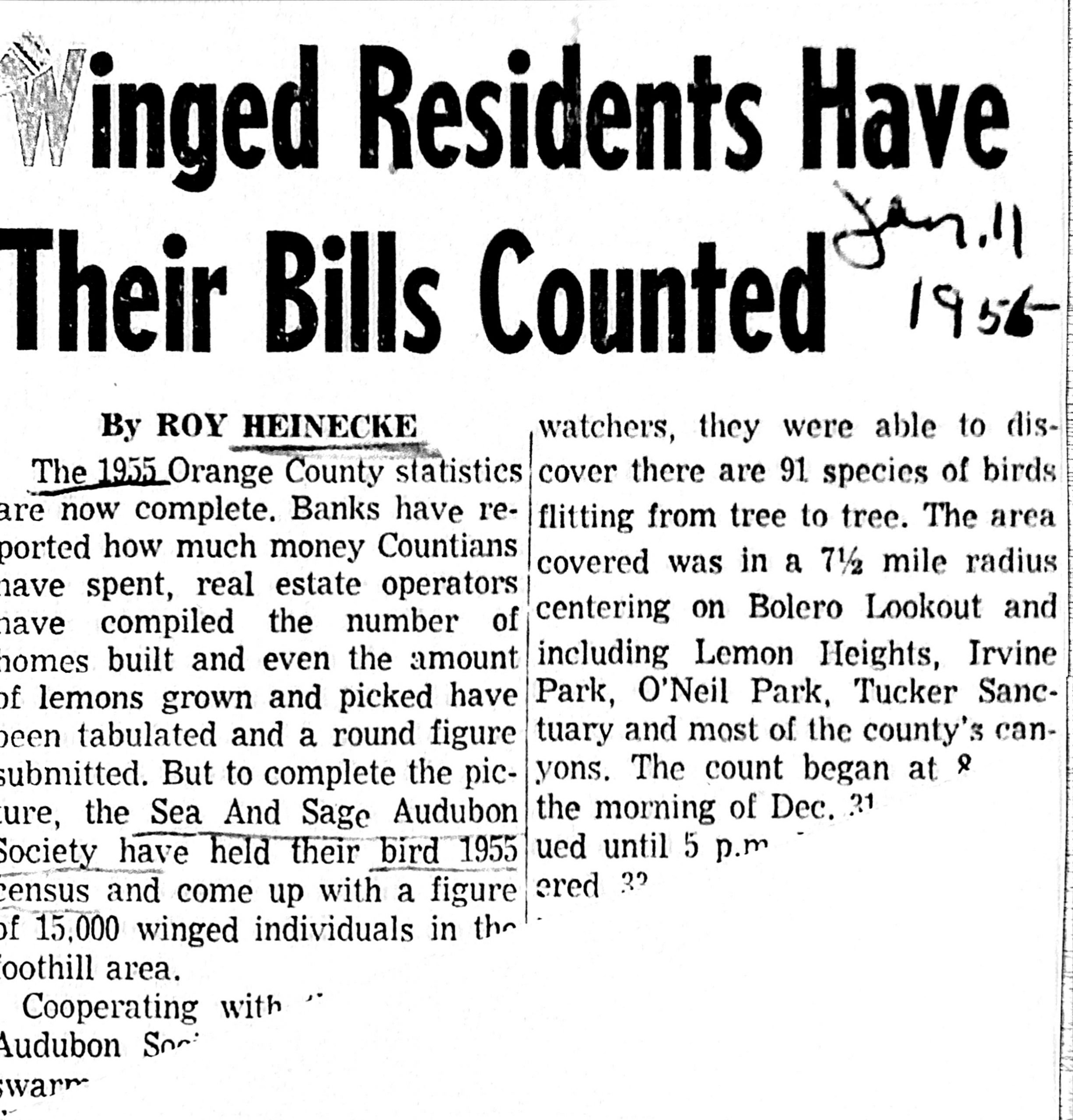 News Article on Christmas Bird Count 1955