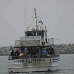 BirdingtheJetty