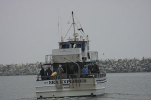 The boat we use for our Pelagic Trips
photo by Jeffrey Cowell