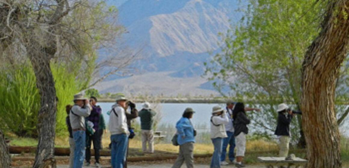 Eastern Sierra Field Trip