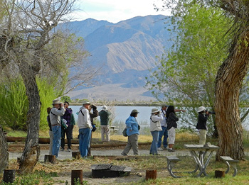 Group Birding at Diaz Lake