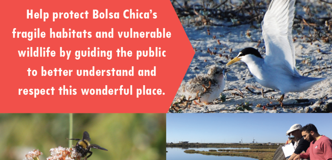 Volunteers Needed for Bolsa Chica RESERVE WATCH