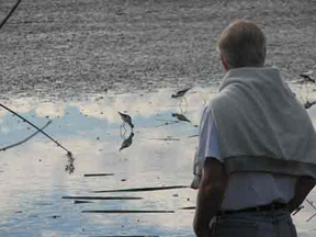 Thinking how to save the habitat (The birds are Black-necked Stilts, not sandpipers.)