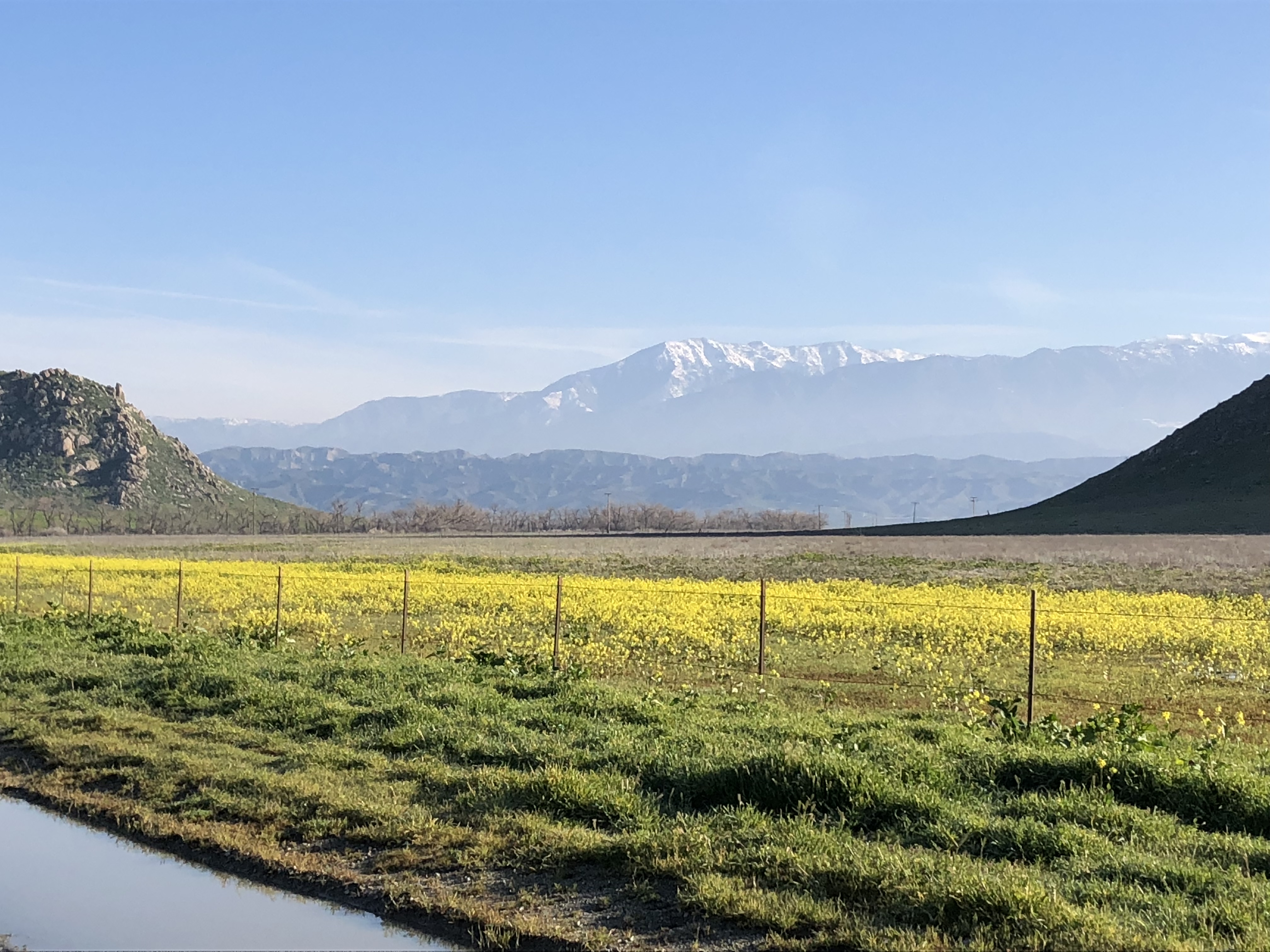 San Jacinto Wildlife Area