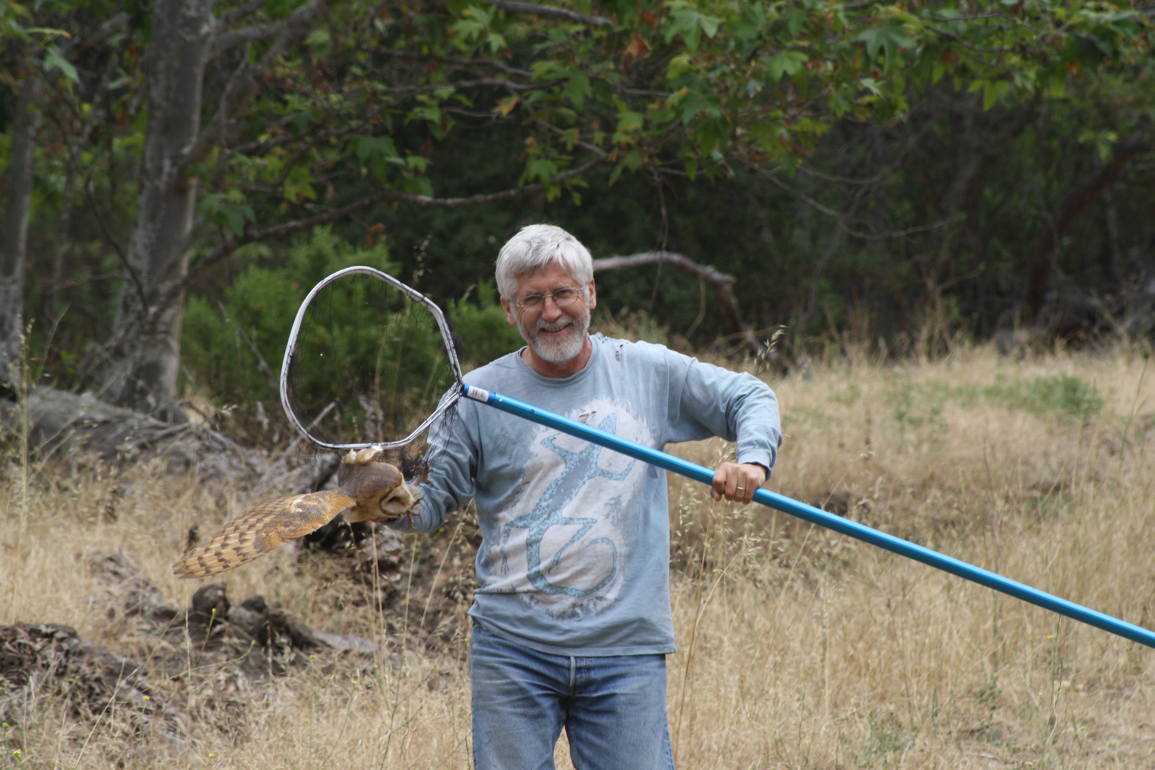 Owl and Hawk Banding (R)