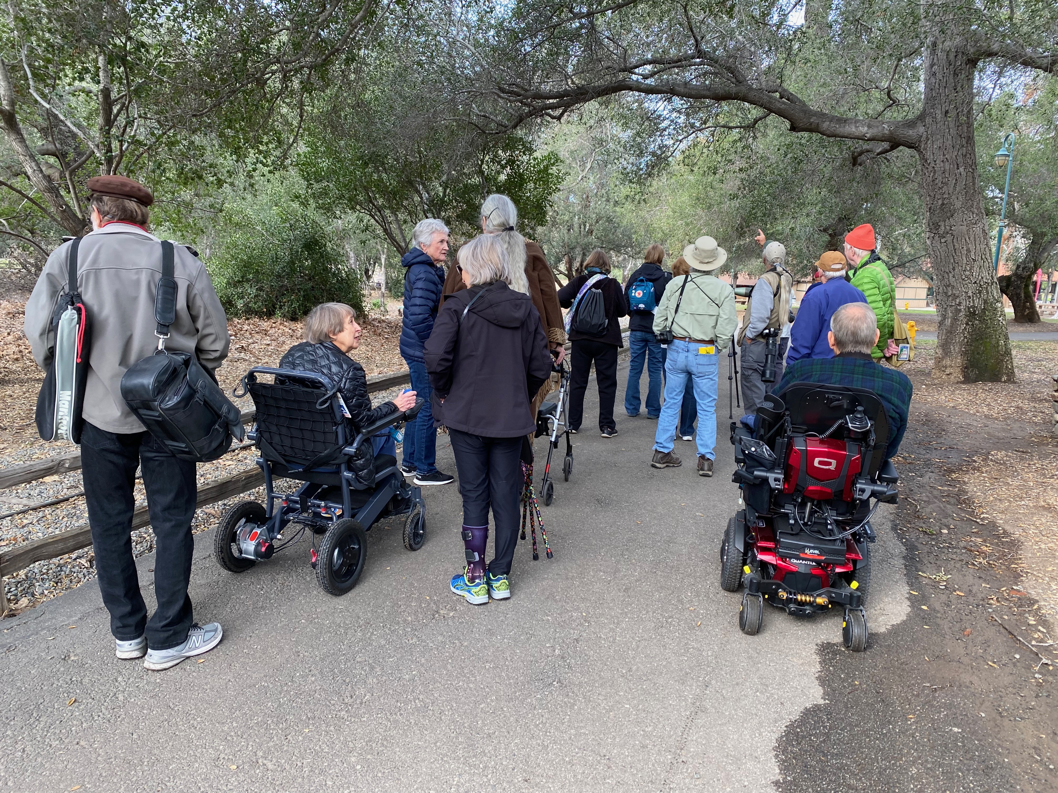 Accessible Birding