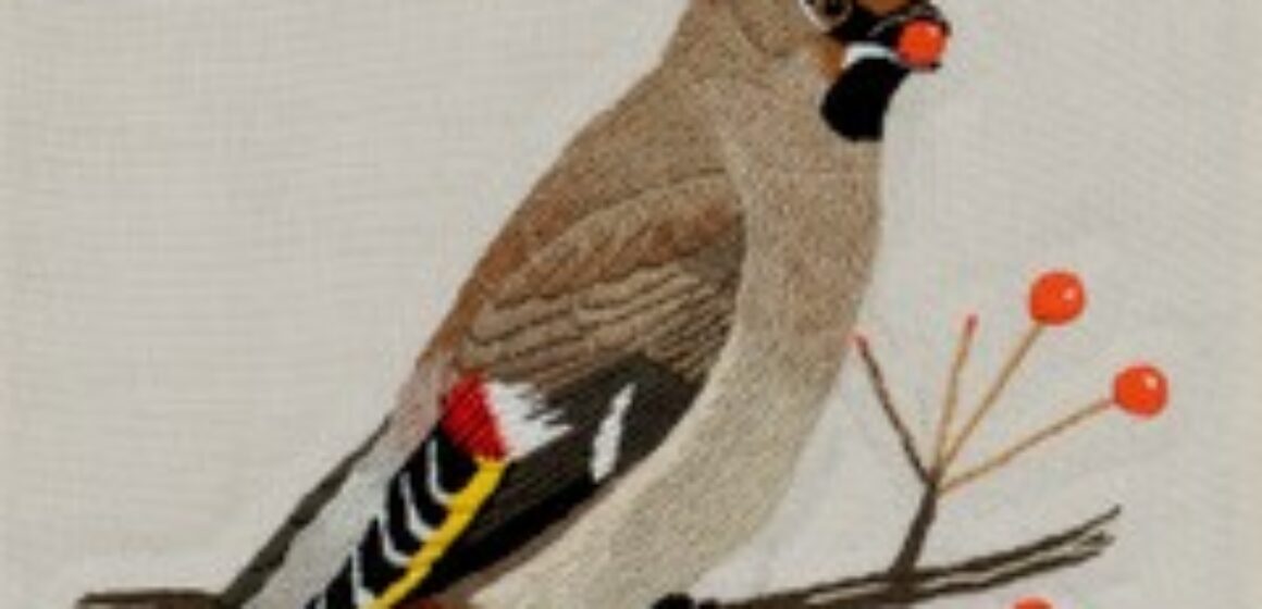 Bird Embroidery Class