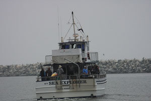 BirdingtheJetty