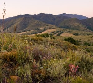 Photo by Scott Thomas