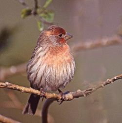 photo by James Gallagher