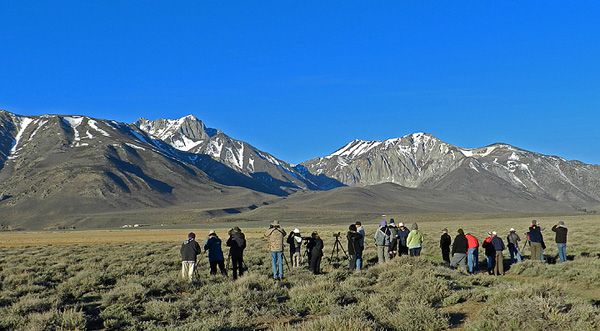 Group birding at the Lek area