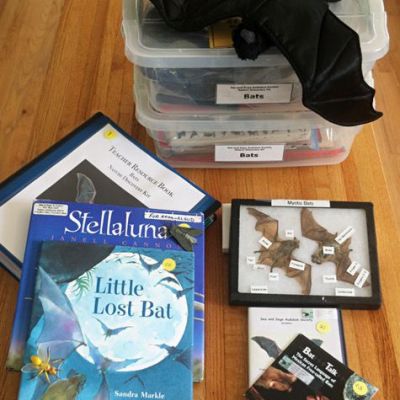 Nature Discovery Kits