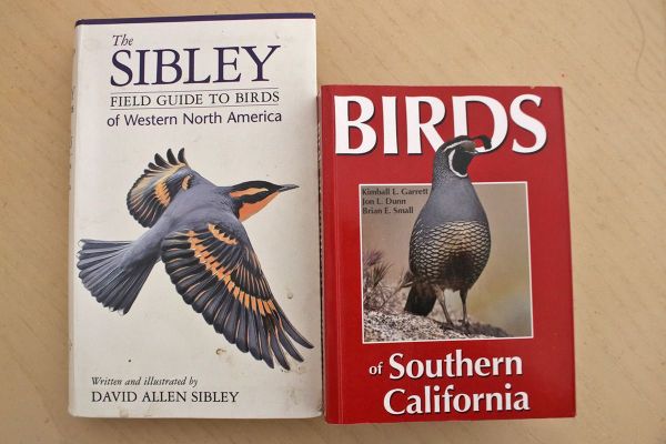 6 Bird Field Guides IMG_5753x