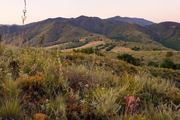 Photo by Scott Thomas